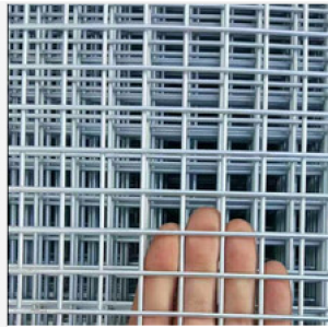 galvanized welded wire mesh