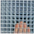 galvanized welded wire mesh