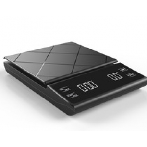 Electronic scale