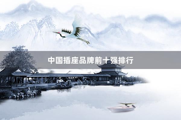 中国插座品牌前十强排行