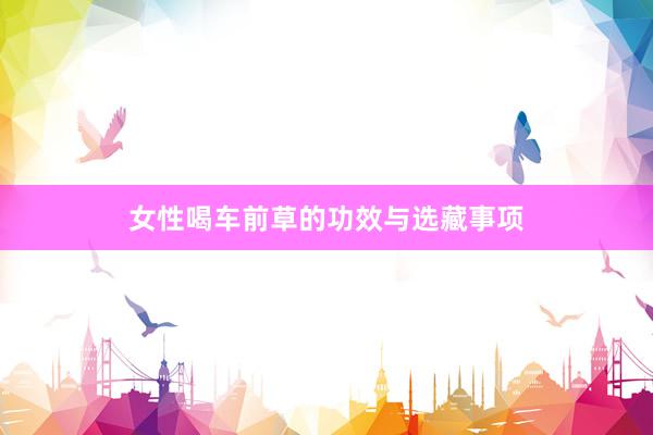 女性喝车前草的功效与选藏事项